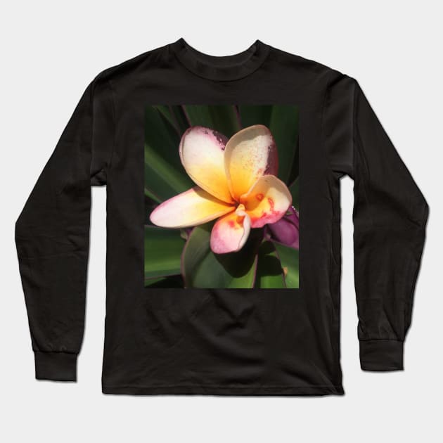 Caribbean Tropical Flower Long Sleeve T-Shirt by SoCalDreamin